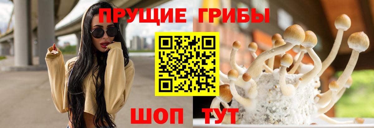 Липецк  Псилоцибиновые грибы мицелий  Вход с VPN  Галлюциногенные грибы Magic Shrooms 